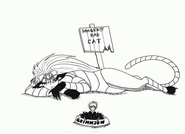 Spapkám ťa <3 aneb Ichi v miske Spapkám ťa <3 aneb Ichi v miske